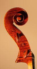 Fiorini cello by Frank Dallaquercia Eickmeyer