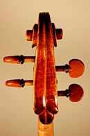 Fiorini cello by Frank Dallaquercia Eickmeyer