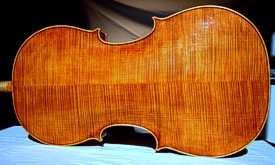 Violoncello Cane Malu by Frank Eickmeyer