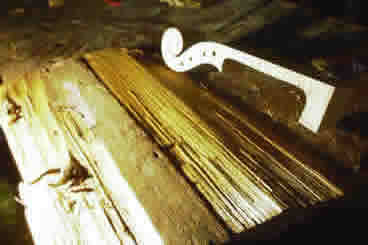Wood for making violins, violas and cellos by Francesco Dalla Quercia, Frank Eickmeyer