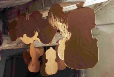Cellos being made by Liutaio, Francesco Dalla Quercia, from Bosa Sardinia