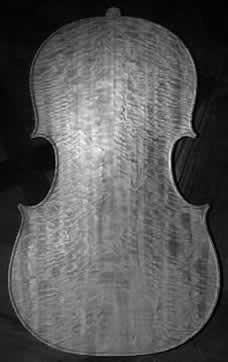 cello back (model after Domenico Montagnana)