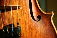 Violins, Violas and Cellos made by Francesco Dalla Quercia,  Italian Violin Maker.