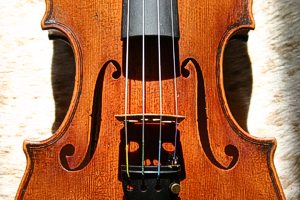 Violin for Henning Kraggerud by Francesco Dalla Quercia - Frank Eickmeyer
